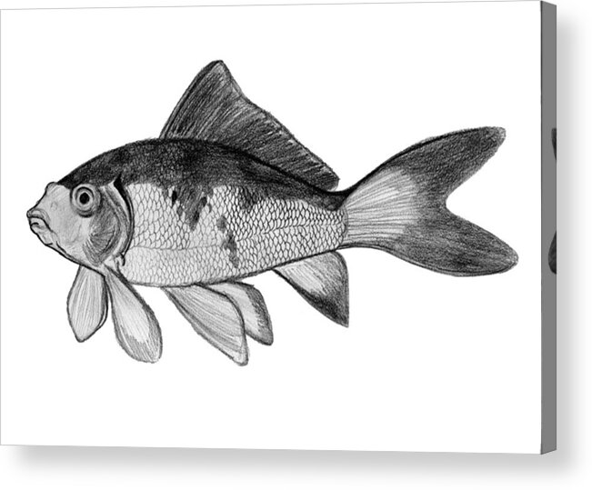 Fish Acrylic Print featuring the mixed media Fish by Anthony Seeker