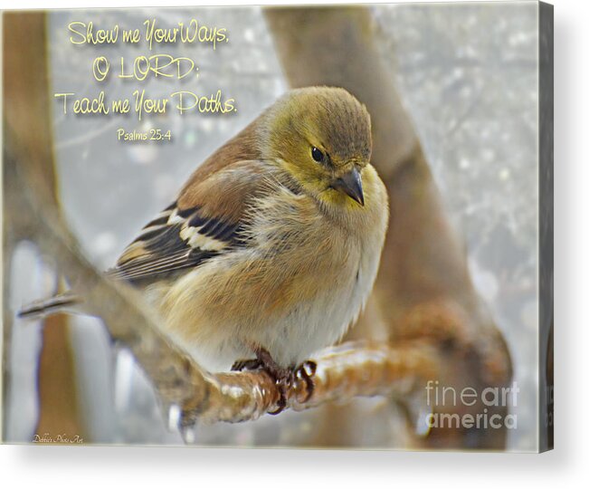 Nature Acrylic Print featuring the photograph 1 Gold finch -Icy perch with verse by Debbie Portwood