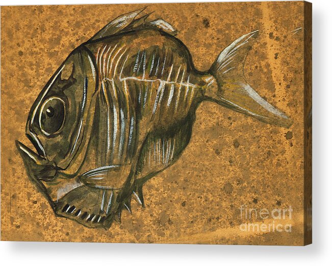 Fish. Hatchet Fish Acrylic Print featuring the mixed media Hatchet Fish by Art MacKay