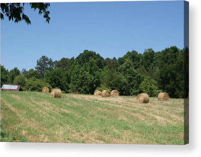 North Carolina Acrylic Print featuring the photograph Hay Harvest #1 by Bill TALICH