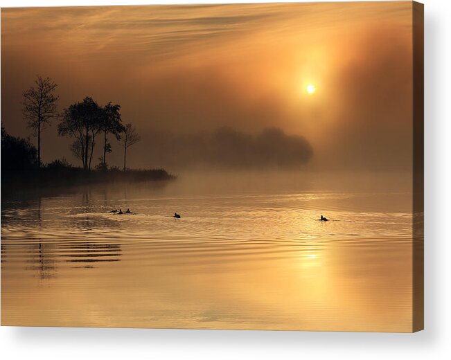 Loch Ard Acrylic Print featuring the photograph Loch Ard morning glow #1 by Grant Glendinning