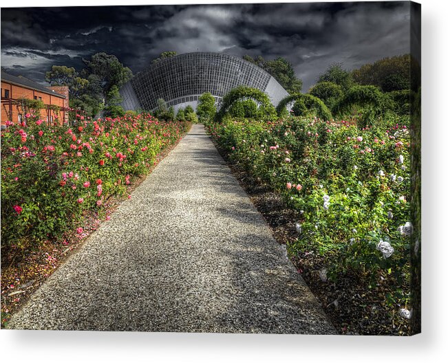 Flowers Acrylic Print featuring the photograph Mothership #2 by Wayne Sherriff