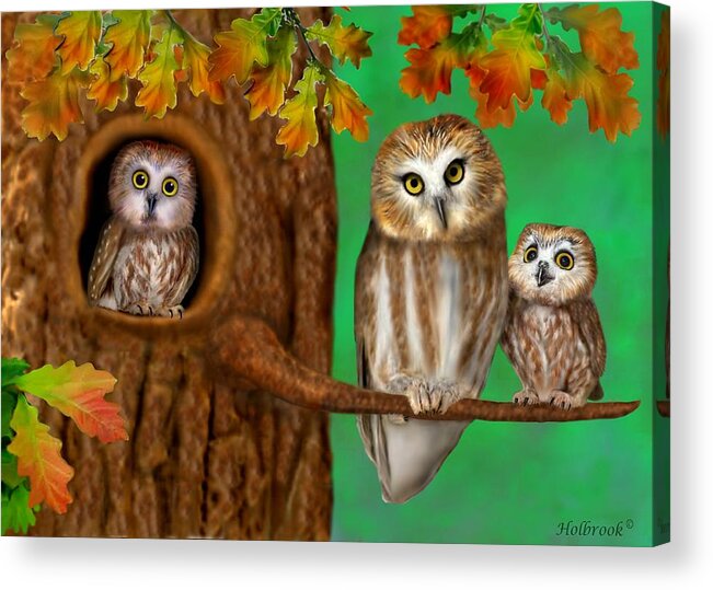 Northern Saw-whet Owls Acrylic Print featuring the digital art Serendipity by Glenn Holbrook