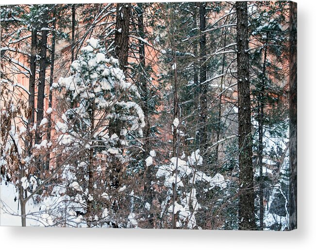 Snow Acrylic Print featuring the photograph West Fork Snow #1 by Tam Ryan