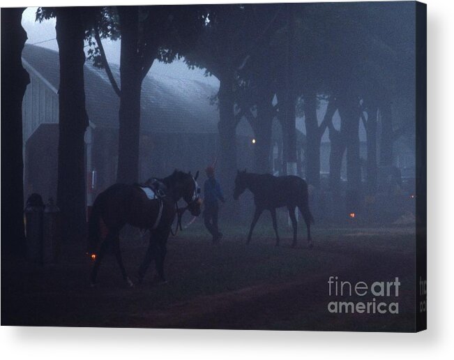 Horses Acrylic Print featuring the photograph Horses #12 by Marc Bittan