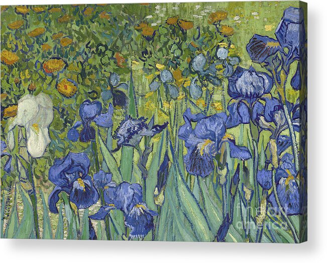 Irises Acrylic Print featuring the painting Irises, 1889 by Vincent Van Gogh by Vincent Van Gogh