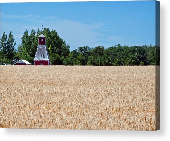 Farm Building Acrylic Print featuring the photograph Fox Tower #2 by Keith Armstrong