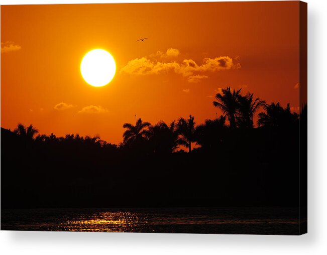 Marco Acrylic Print featuring the photograph Marco Island Sunset by David Hart