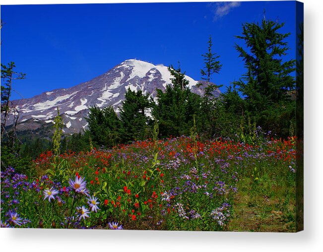Mt. Rainier Acrylic Print featuring the photograph Mount Rainier by Jerry Cahill