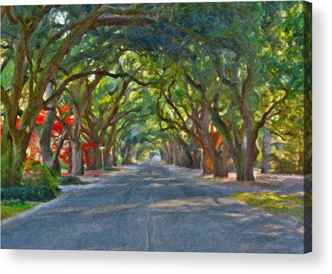 South Boundary Acrylic Print featuring the photograph South Boundary by Shirley Radabaugh