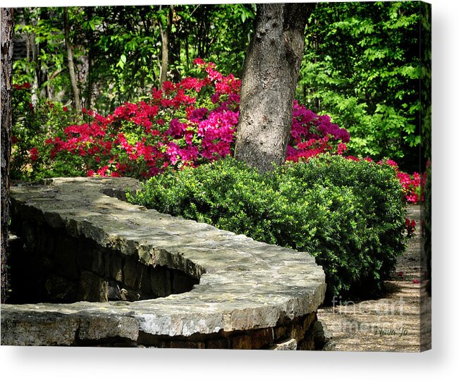 Nature Acrylic Print featuring the photograph Stay on the Path by Nava Thompson