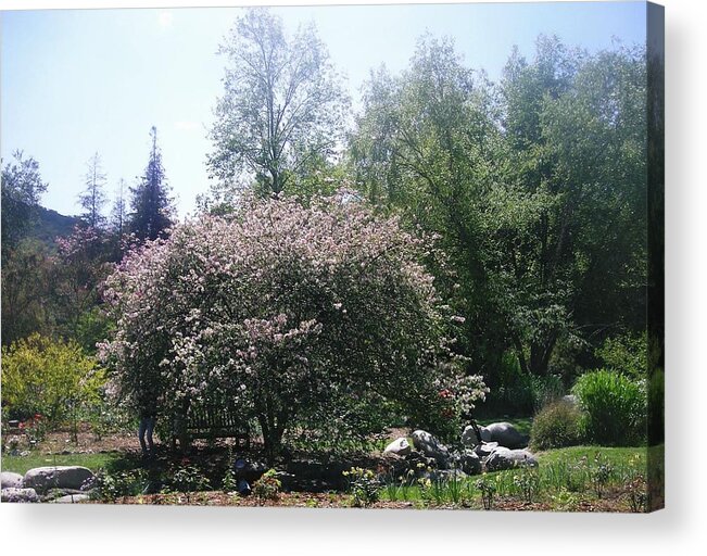 Landscape Acrylic Print featuring the photograph A day in the Garden #23 by Marian Jenkins