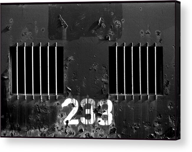 Photo Decor Acrylic Print featuring the photograph 233 by Steven Huszar