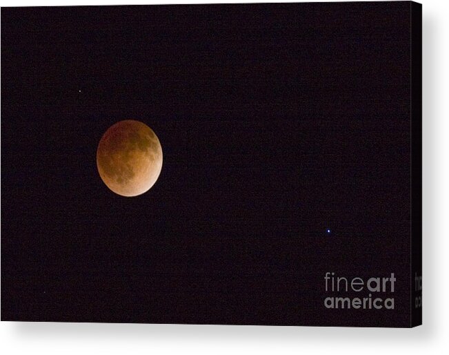Moon Acrylic Print featuring the photograph Blood Moon #5 by Steven Krull