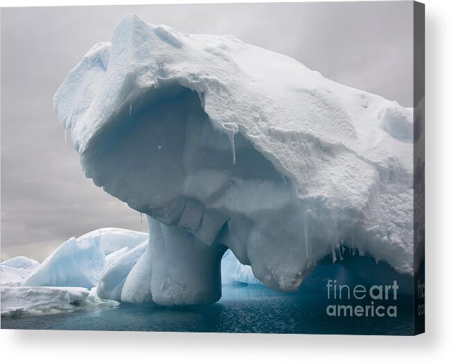 Antarctica Acrylic Print featuring the photograph Iceberg, Antarctica #5 by John Shaw