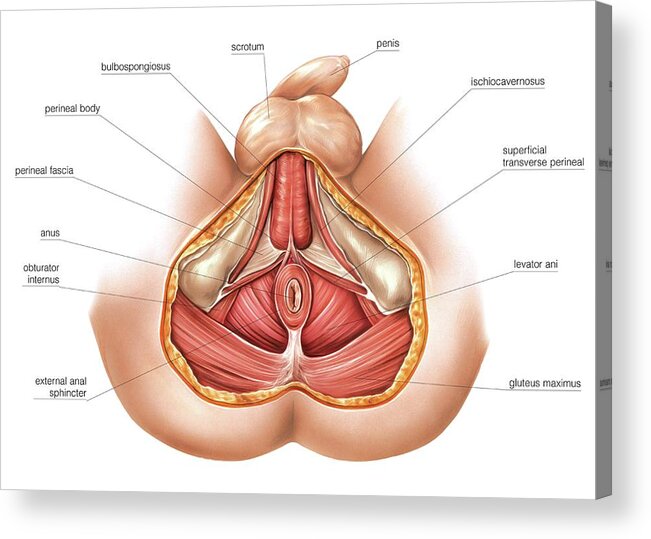 Apsheronsk fohishalarining yaqindan suratlari