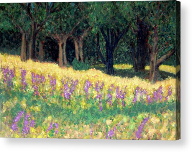 Texas Acrylic Print featuring the painting Texas Gold #2 by Carolyn Donnell