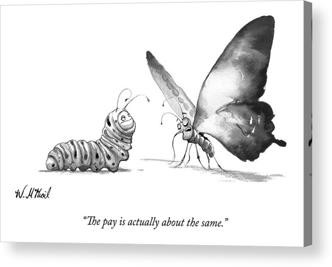 Caterpillar Acrylic Print featuring the drawing A Butterfly Talks To A Caterpillar by Will McPhail