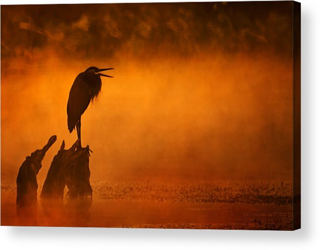 2007 Acrylic Print featuring the photograph A Cry in the Mist by Robert Charity