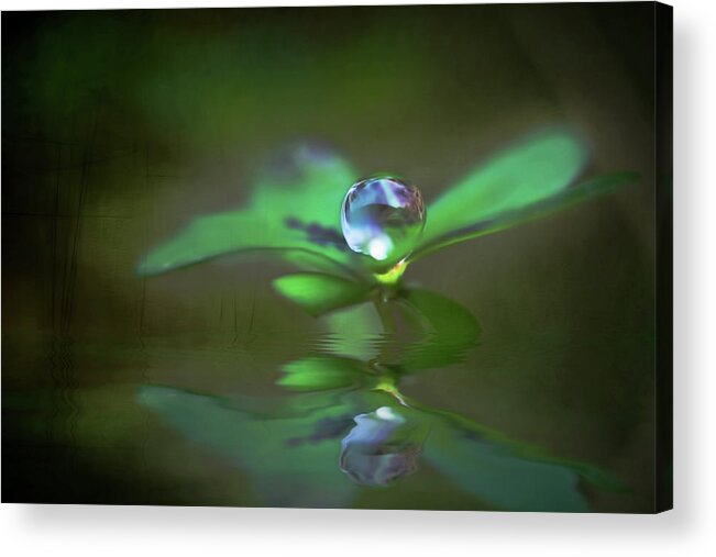 Green Acrylic Print featuring the photograph A Dream Of Green by Kym Clarke