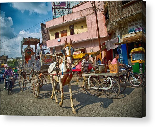 5d Mark Iii Acrylic Print featuring the photograph A Horse-Drawn Cart of a Different Color 2 by John Hoey