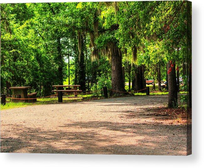 Park Acrylic Print featuring the photograph A Place For Picnic by Ester McGuire
