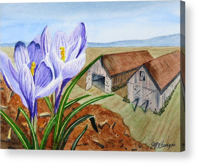 Crocus Acrylic Print featuring the painting A Sure Sign by Joseph Burger