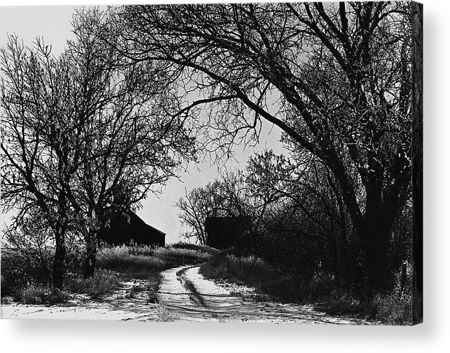 Abandoned Barn Road Trees Near Aberdeen South Dakota 1965 Black And White Acrylic Print featuring the photograph Abandoned barn road trees near aberdeen south dakota 1965 black and white by David Lee Guss