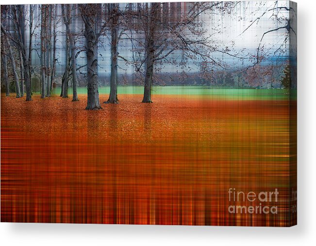 Abstract Acrylic Print featuring the photograph abstract atumn II by Hannes Cmarits