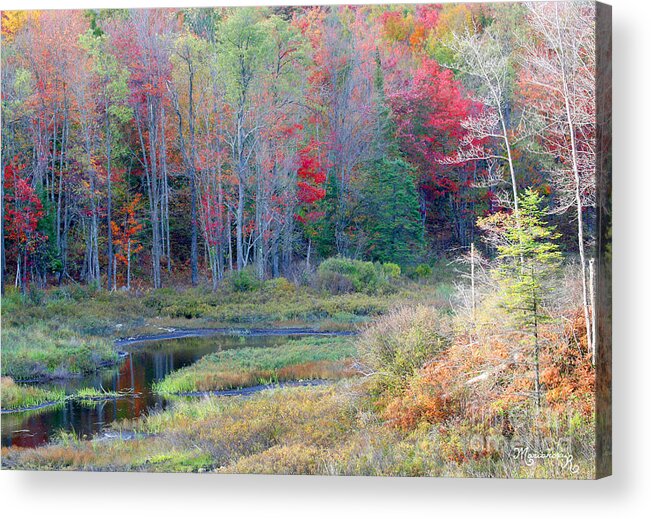 Trees Acrylic Print featuring the photograph Adirondack Fall by Mariarosa Rockefeller