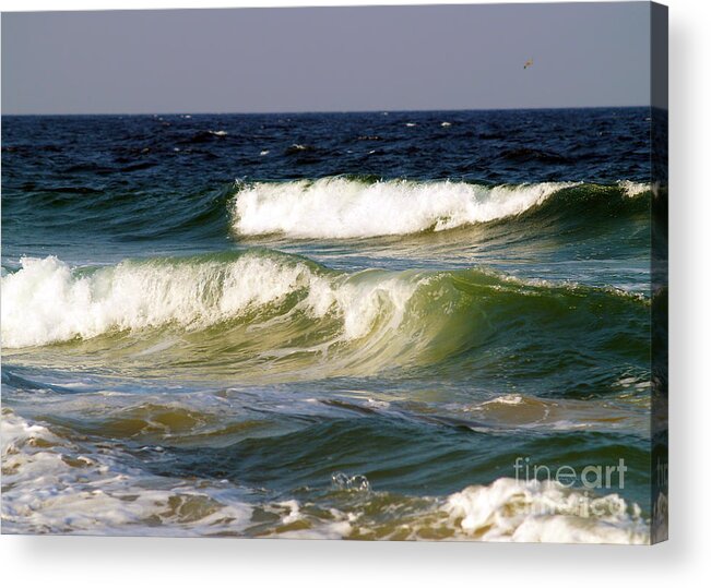 Fine Art Print Acrylic Print featuring the photograph Aftermath of a Storm by Patricia Griffin Brett