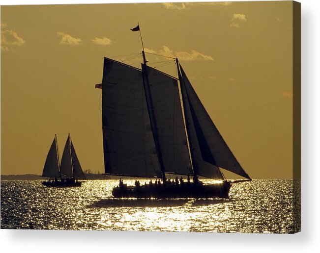 Sea Acrylic Print featuring the photograph All Sails Sunset in Key West by Bob Slitzan