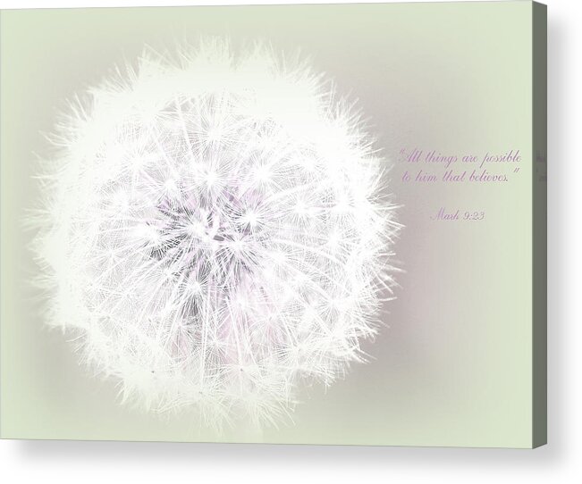 Dandelions Acrylic Print featuring the photograph All things are possible... by The Art Of Marilyn Ridoutt-Greene