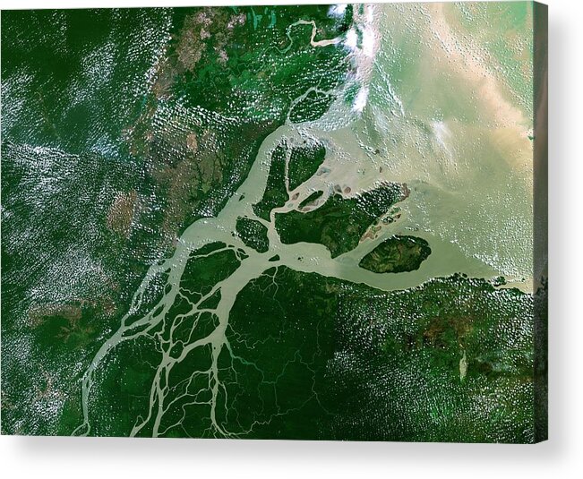 Amazon River Acrylic Print featuring the photograph Amazon Delta by Planetobserver/science Photo Library