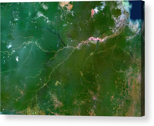 Amazon River Acrylic Print featuring the photograph Amazon River by Planetobserver/science Photo Library