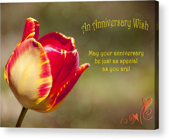 Greeting Card Acrylic Print featuring the photograph Anniversary Wish by Cathy Kovarik