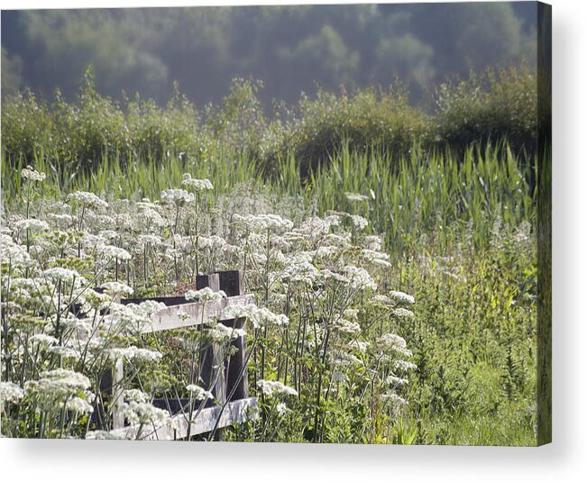Rural Acrylic Print featuring the photograph Appleford walk by Jerry Daniel