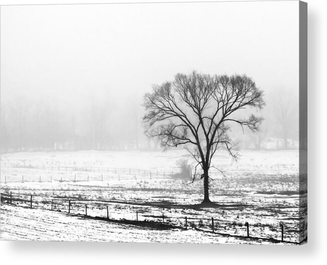Scenic Acrylic Print featuring the photograph Approaching Fog by Vickie Szumigala