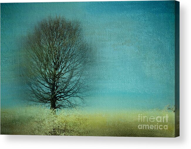 Tree Acrylic Print featuring the photograph Arbrensens - v06e by Variance Collections