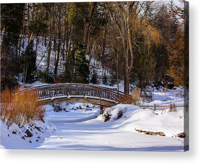  Bridge Arched River Architecture Arch Water City Landmark Building Old Landscape Green Park Nature Garden Construction Urban Reflection Outdoors Light Destination Sky Structure Wood Famous Grass Edwards Garden Toronto Ontario Canada Snow River Balustrade James Canning Fine Art Trees Forest Stream Public White Acrylic Print featuring the photograph Arched Bridge in Edwards Garden by James Canning