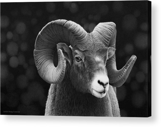 Ram Acrylic Print featuring the drawing Aries by Stirring Images