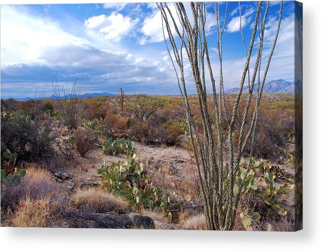 Landscape Acrylic Print featuring the photograph Arizona Afternoon by Cascade Colors