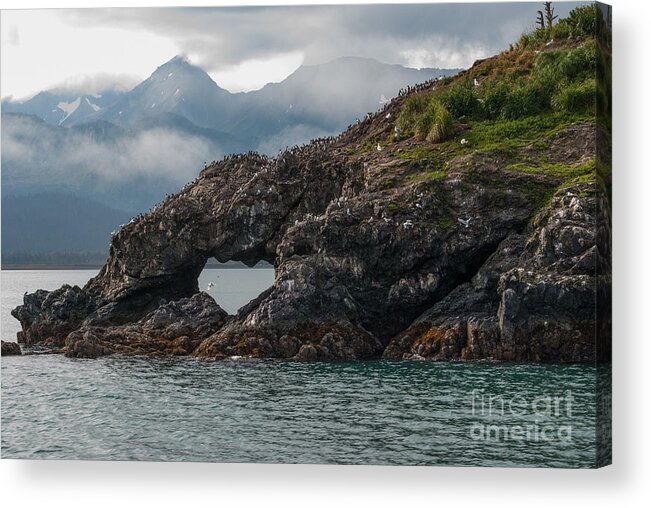 In Focus Acrylic Print featuring the photograph At The Heart Of It by Jim Cook