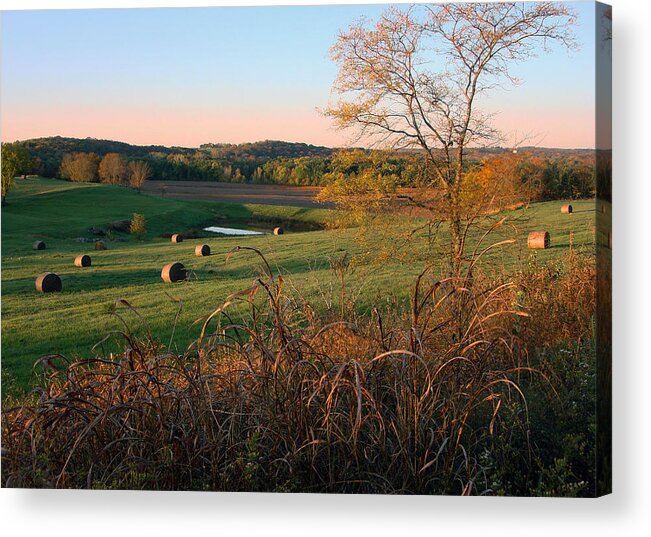 Country Acrylic Print featuring the photograph Autumn in the Country by Ellen Tully
