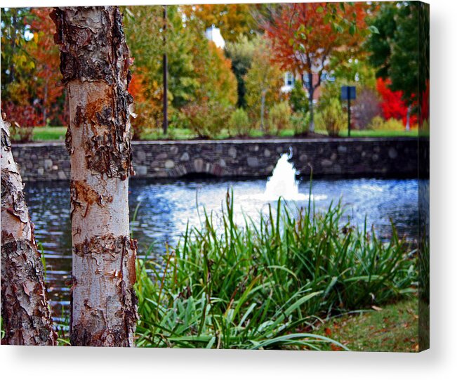 Water Scenes Acrylic Print featuring the photograph Autumn Pond by Andy Lawless