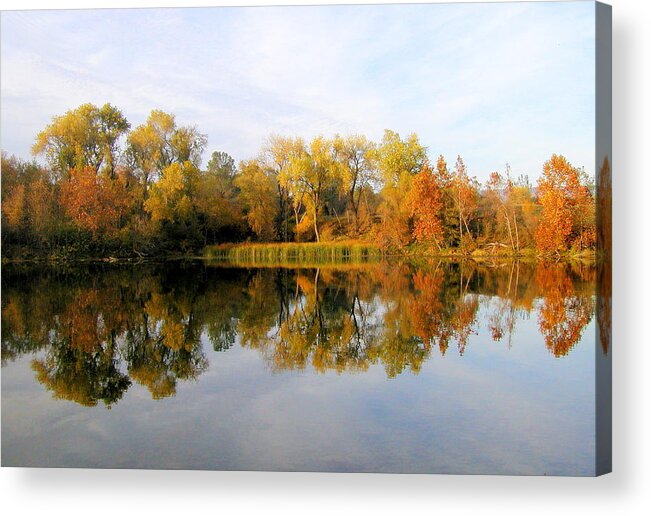 Scenic Acrylic Print featuring the photograph Autumn Reflections by AJ Schibig