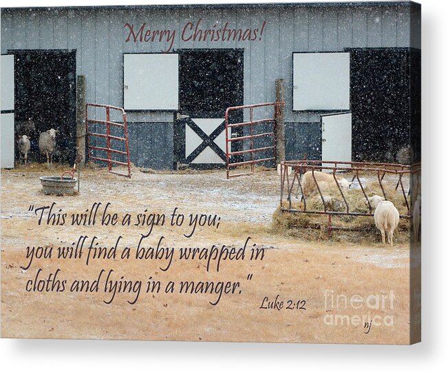 Nature Acrylic Print featuring the photograph In A Manger by Nava Thompson