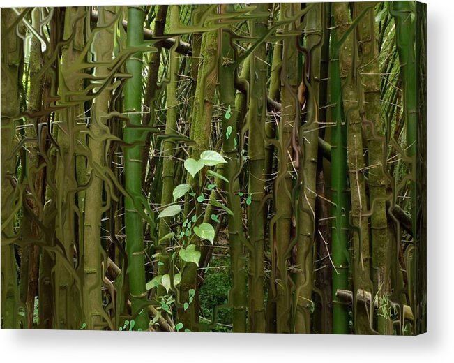 Bamboo Forest Acrylic Print featuring the digital art Bamboo Forest by Tony Rodriguez
