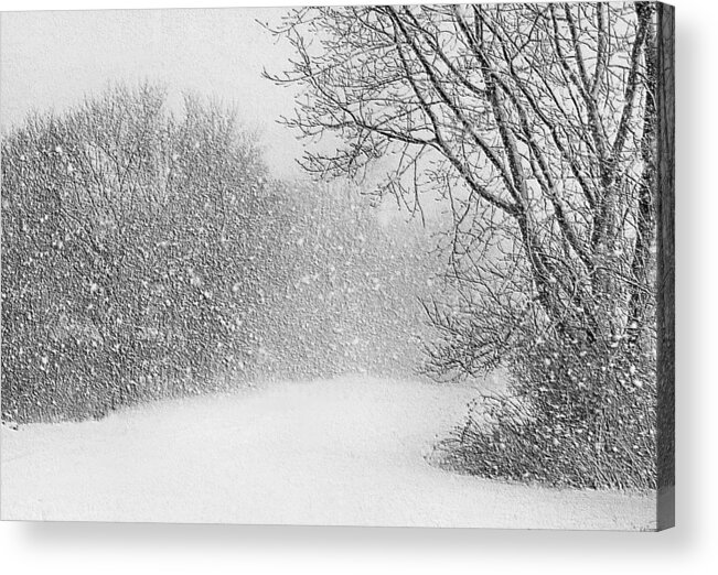 Blizzard Acrylic Print featuring the photograph Beautiful Blizzard by Kristin Elmquist