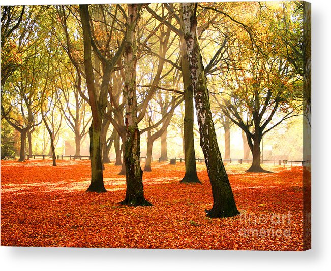 Beauty Autumn Acrylic Print featuring the photograph Beauty Autumn by Boon Mee